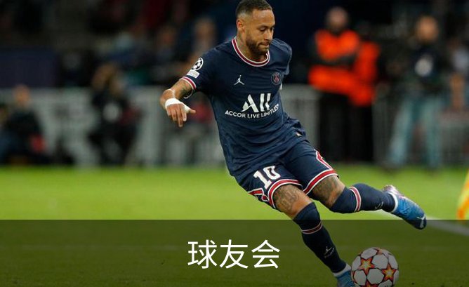 球友会概况